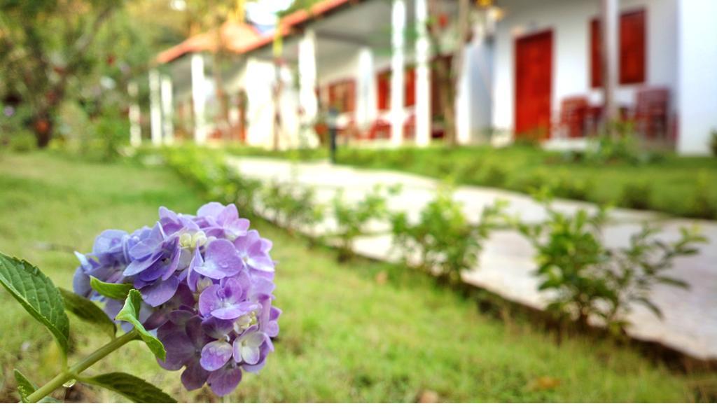 Highland Bungalow Phu Quoc Buitenkant foto