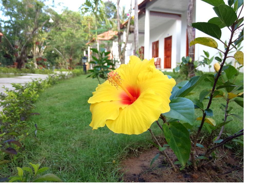 Highland Bungalow Phu Quoc Buitenkant foto