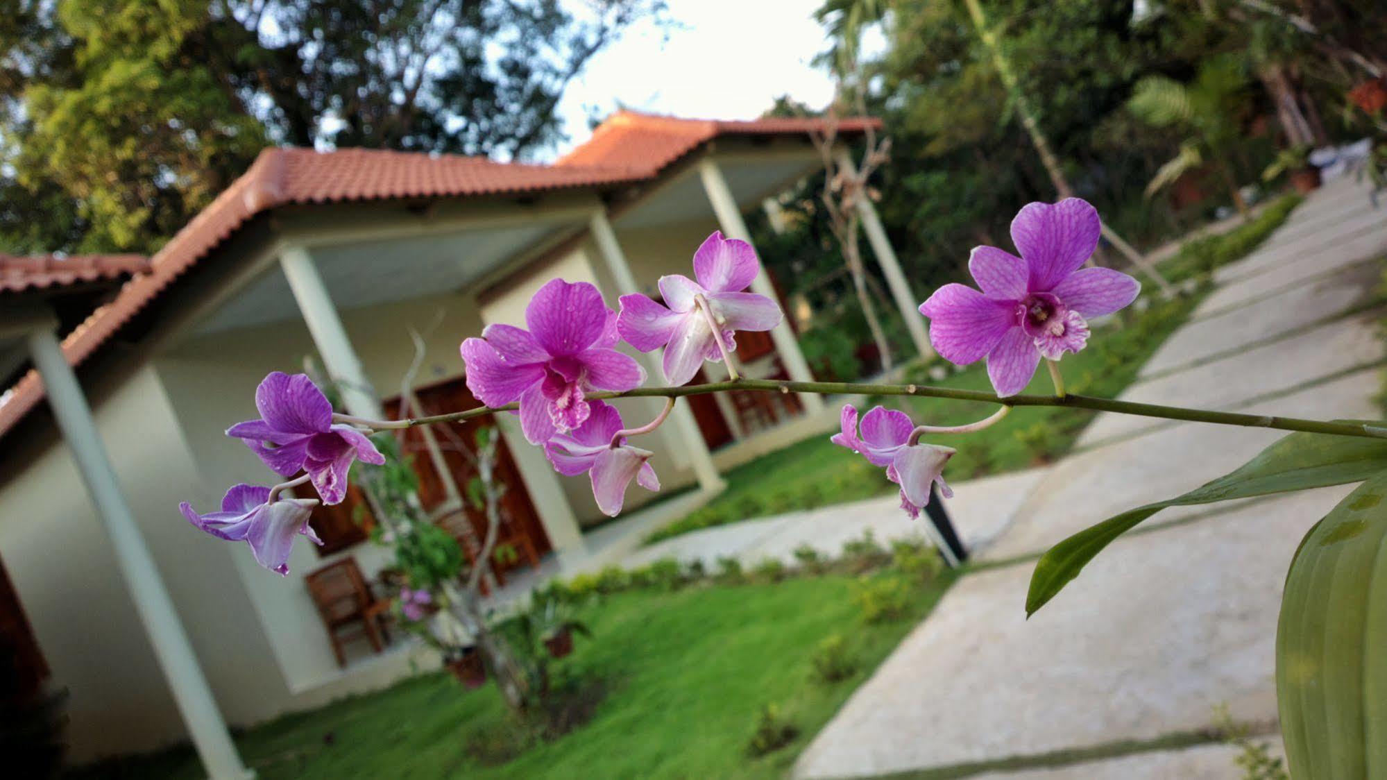 Highland Bungalow Phu Quoc Buitenkant foto